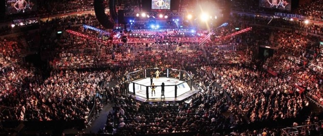 MMA a bojové športy