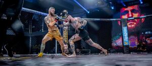 Vlasto Čepo Samuel Krištofič