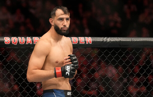Dominick Reyes (UFC)