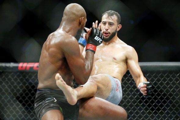 Dominick Reyes - UFC