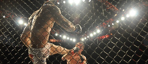 UFC súboj pri pletive. UFC súboj pri pletive.
