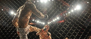 UFC Fight Night - súboj v klietke