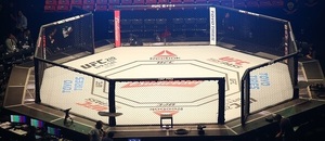 UFC Fight Night - klietka