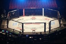 UFC klietka - oktagon