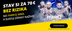 Sledujte Fabriq MMA 2 naživo na Fortuna TV!