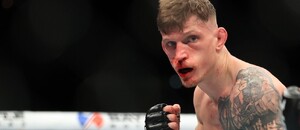 David Dvořák (UFC)