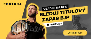 Sledujte a tipujte UFC 295 s Jiřím Procházkom vo Fortune!