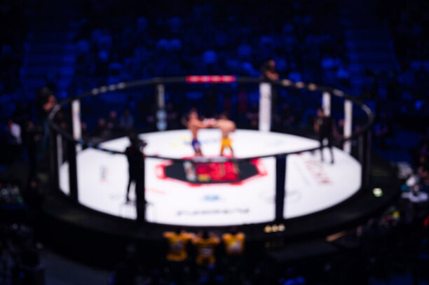 MMA
