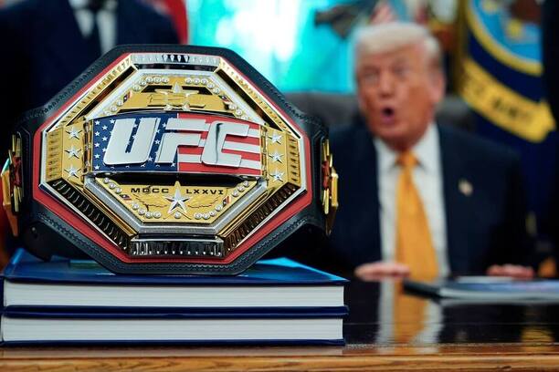 Opasok UFC Freedom 250 (White House)