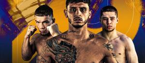 RFA 34