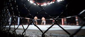 MMA klietka